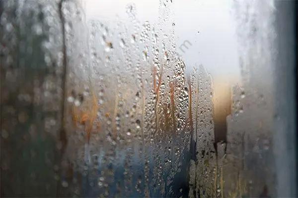 梅雨？霉雨？何不霉？